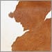 Brown Pony Hide Leather