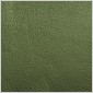 L156- Forest Green